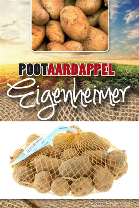 Pootaardappels kopen, Eigenheimer (1 kg).